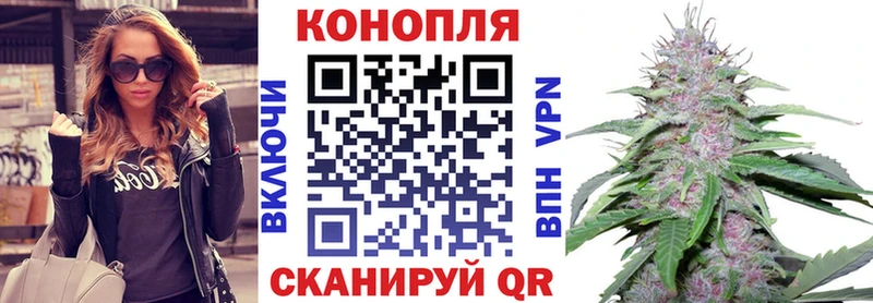 цена Починок Канабис VHQ